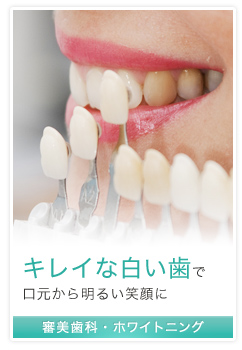 審美歯科・ホワイトニング